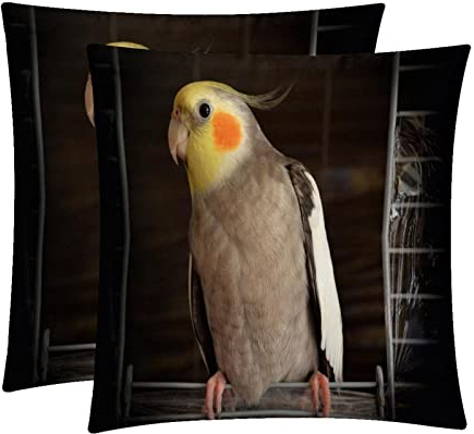 2Er Set Dekokissen Kissenbezüge Tropisches Vogelporträt Papagei Kissenhülle Superweicher,Stilvolles Sofakissen Bezug Für Outdoor Cafe Schlafzimmer,45X45Cm