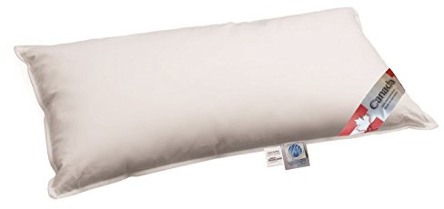 betten-traum-land Daunenkissen Gänse Daune 100% Canadian Goose Kopfkissen weich mit 400 g Füllgewicht 40x80 cm
