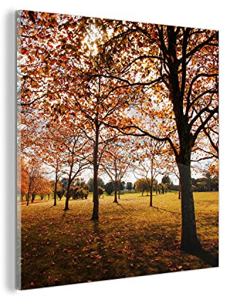 MuchoWow Glasbild Glasfoto Wandbild Bilder Deko 20x20 cm Herbst - Herbstblätter - Natur