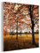 MuchoWow Glasbild Glasfoto Wandbild Bilder Deko 20x20 cm Herbst - Herbstblätter - Natur