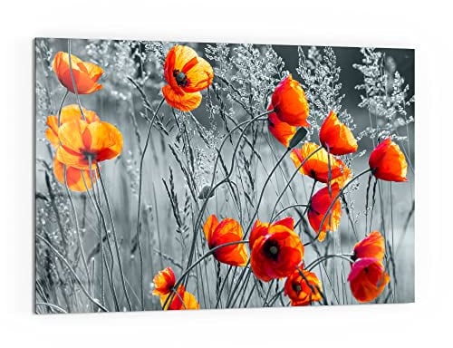 DEQORI Küchenrückwand Glas | Motiv Rote Mohnblumen | 60x40 cm | Bad- oder Herd-Rückwand | Herdblende Spritzschutz für Küche & Badezimmer | moderne Deko für Fliesenspiegel