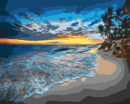 sukoly DIY Paint by Numbers for Adults Beginner, Seaside Adult Number Kits on Canvas Painting Flower Acrylic Kit, 40X50 cm Ocean Easy Kids Hobbies, Blue Seaside