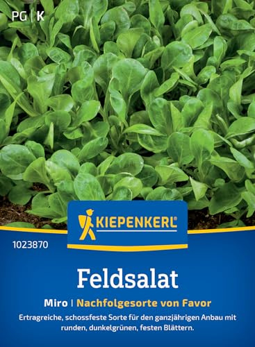 Kiepenkerl Feldsalatsamen Miro 1023870, Gemüsesaat | Schossfeste, ertragreiche Sorte für den ganzjährigen Anbau mit dunkelgrünen Blättern