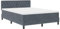 vidaXL Boxspringbett mit Matratze Grau 140x190 cm Samt