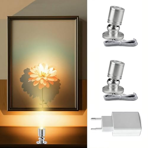 Klein LED Scheinwerfer LED Spotlichter für den Innenbereich Schranklicht Bilderlichter Akzentlichter 360° Schwenkbar Aluminium Mini led spot für Schrank, Flur, Galerien (2 Stück-Warmweiß-Silber)