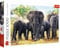 Trefl 916 10442 EA Nature 1000pcs Elephants, Multicolor, Schlafender Löwe, Farbig