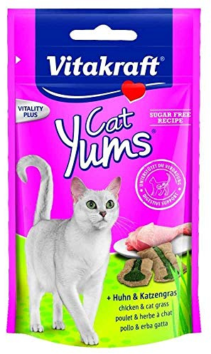 Vitakraft, Cat Yums - Erba per pollo e gatti, 40 g, NVT