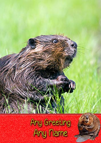 Personalised Beaver Greeting Card (Birthday, Mothers Day, Fathers Day, Christmas, Blank) - Custom Card for Him Her Male Female Family Kids