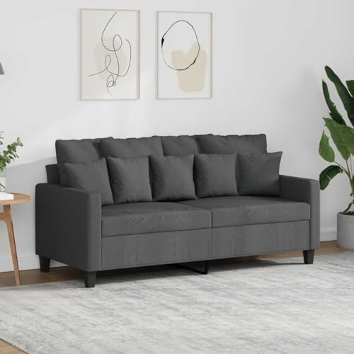 HFXHIJXQ 2-Sitzer-Sofa 158 x 77 x 80 cm Dunkelgrau Stoff Schlafcouch mit Metallgestell Modernes Ecksofa für kleines Wohnzimmer, Küche oder Büro