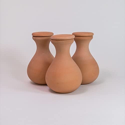 3 Oyas à Enterrer 330 ml en Terre Cuite avec Couvercle – Arrosage Automatique Écologique pour Plantes d’Intérieur et d’Extérieur