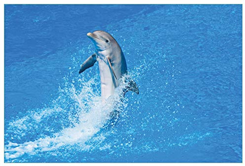 Wallario Küchenrückwand selbstklebend 90 x 60 cm, Motiv: Fröhlicher Delfin im blauen Wasser | Spritzschutz abwischbar & pflegeleicht