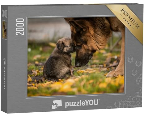 puzzleYOU: Puzzle 2000 Teile „Liebe zwischen Welpe und ausgewachsenem Deutschem Schäferhund“ – aus der Puzzle-Kollektion Hunde, Schäferhunde