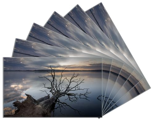 Wallario 6er Set Frühstücksbrettchen aus Glas, Glasunterlage, Glasbrettchen Baum im Abendlicht, Größe 14 x 23 cm, Sicherheitsglas