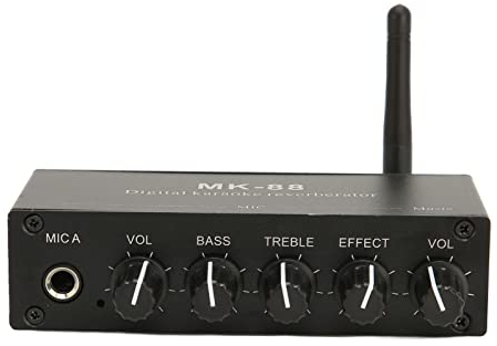 Tragbarer Karaoke-Mixer, Digital-Sound-Karaoke-Gadget-Mixer-Maschine, 6,5-mm-Karaoke-Mixer, Soundverstärker, 2 Mikrofoneingänge, für die Eigene Familie, Geburtstagsfeier,