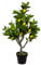 DARO DEKO künstlicher Zitronenbaum 160cm Kunstpflanze Baum Zitrone Lemon Kunstbaum Hochstamm