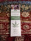 NATURAL DOCTOR ORGANIC VEGAN HEMP CONDITIONER 8 oz / 237 ml