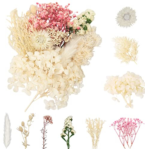 LAUMOE Getrocknete Blumen, Trockenblumen, Trockenblumen Zum Basteln Trockenblumen Set Mini Trockenblumen für Startseite Kunst Basteln Dekoration (Weiß)