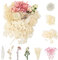 LAUMOE Getrocknete Blumen, Trockenblumen, Trockenblumen Zum Basteln Trockenblumen Set Mini Trockenblumen für Startseite Kunst Basteln Dekoration (Weiß)