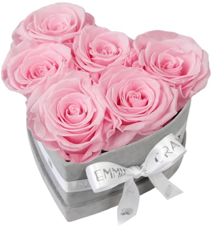 EG EMMIE GRAY Classic Infinity Rosenbox | Herz | Grau - Größe S mit 7 ± 1 Infinity Rosen, bis zu 3 Jahre haltbar, Flowerbox aus Samt mit konservierten Rosen, Blumenbox (Bridal Pink)
