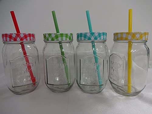 Michael Fischer 4 er Set Trinkgläser mit Deckel Strohhalm Wasserglas Trinkglas Cocktailglas COUNTRYSTYLE FUNGLAS 0,48l
