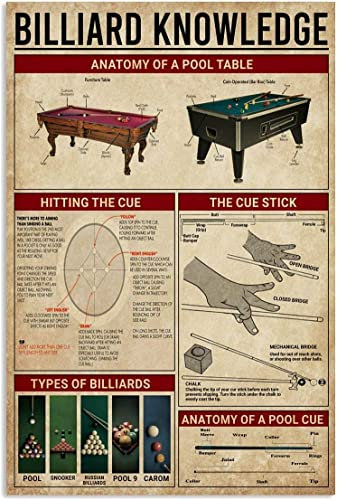 Oudrspo Billard-Wissen, Metall-Blechschilder, Vintage-Billard-Queue-Ball-Erklärer, Infografik-Poster, Pool-Liebhaber-Kollektion, Plakette, Club, Bar, Café, Zuhause, Wanddekoration, 20,3 x 30,5 cm