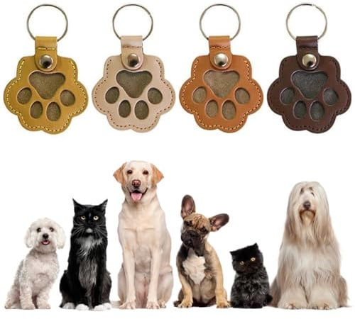 OIXEYA 4 Stück Aufbewahrungsbox für Tierhaare für Hunde, SchlüSselanhäNger Hundehaare, Tierhaar Erinnerung, Andenken An Verstorbenen Hund Katze