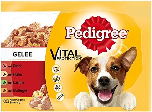 Pedigree Hundefutter Nassfutter Adult in Gelee, 12 Portionsbeutel (12 x 100g)