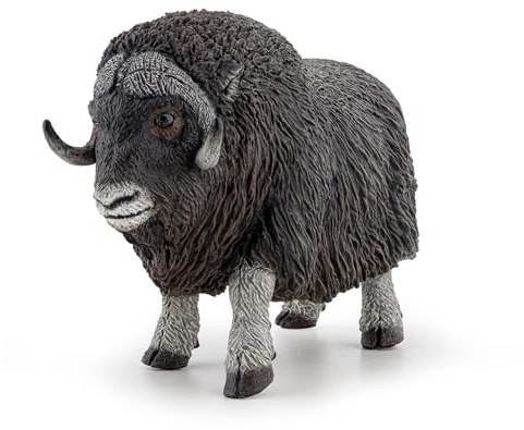 PAPO - Realistische Moschusochsen-Figur - 3 Jahre + - Kollektion Wilde Tiere - Lernspiel Polartiere - Geschenkidee Spielzeug für Mädchen und Jungen