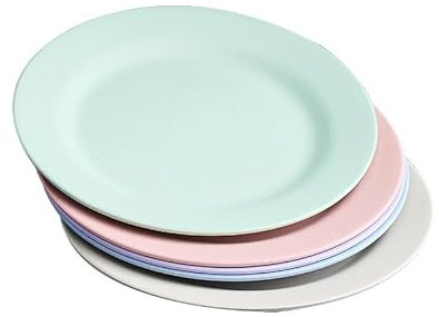 LOPYXBR Lot de 10 assiettes plates en plastique incassables de 28 cm, légères et réutilisables, pour fête, camping, cuisine, restaurant, lave-vaisselle et micro-ondes