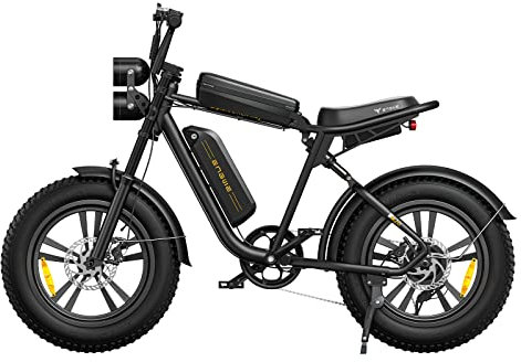 Fafrees Bicicletta Elettrica,Batteria Rimovibile 48V 26AH/13AH, Autonomia 75/150 km, Pneumatici Larghi 20 x4,0,Doppia Sospensione,Ideale Per Adulti e Multi-Terreno.ENGWE M20 (Batteria singola, Nero)