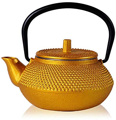 Cast Iron Teapot Cast Iron Teapot Style Tea Pot with Filter Small Kettle The New