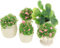 5Pcs Mini Puppenhaus Topfpflanzen Kleine Künstliche Pflanze Bonsai Gefälschte Pflanze in Vase Fee Garten Dekorationen Puppenhaus Pretend Spielen Spielzeug Micro Landschaft