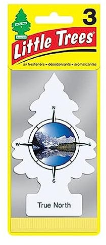 LITTLE TREES Car Air Freshener | Hanging Paper Tree for Home or Car | True North | 3 Pack