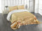 ABAKUHAUS Strand Tagesdecke Set, Sand mit Muscheln, Set mit Kissenbezügen Maschienenwaschbar, für Doppelbetten 264 x 220 cm, Sand Brown Coral
