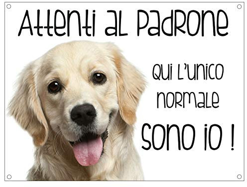 CARTELLO CANE - GOLDEN RETRIEVER Attenti al padrone qui l'unico normale sono io - Con Adesivo in Vinile e Pannello in Forex (Adesivo)