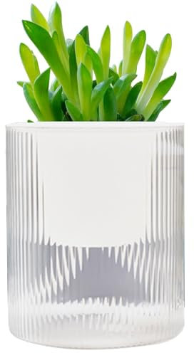 Gvblkq Selbstbewässernde Töpfe, transparenter Blumentopf mit Wasserspeicher, PE, PP, runder Blumentopf mit saugfähigem Baumwollfaden für Sukkulenten, Kräuter, afrikanische Veilchen, Blumen, 12 x 10 x