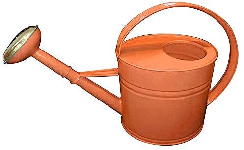 Guillouard Arrosoir 4l Rouge Corail