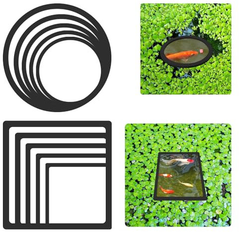 10 Pièces Distributeur Nourriture Poisson Distributeur Nourriture Poisson Aquarium Anneaux de Plantes Flottantes d'Aquarium pour Intercepter Les Plantes Flottantes(Noir)