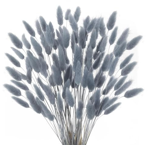 HUAESIN 120 Stück Trockenblumen Klein Pampasgras Natürliche Getrocknet Blumen Getrocknetes Schilfgras Klein für Hochzeit Hause Party Wedding Büro Fotografie Vase Deko Grau
