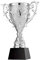 QXSJEDYCH Trophées Champion Trophée d'Or Champion de l'athlète Trophée du gagnant Convient aux ligues de basket-ball et de football, aux championnats de la Coupe du monde et aux prix des jeux scolaire