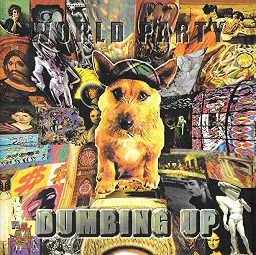 Dumbing Up