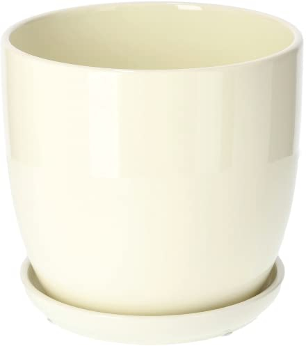 KOTARBAU® Macetero con Plato de Ceramica esmaltada, 20 cm, Maceta para Interiores y Exteriores, Tiesto Decorativo para Plantas, Beige, con Plato y Orificio de Drenaje