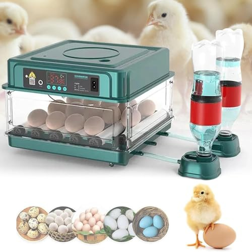 Incubadora Huevos Gallina, Incubadora Automática de 10/16/24/36 Huevos, Incubadora de Huevos con Control de Temperatura, Adición Automática de Agua, Volteador Automático de huevos (16 Huevos (B))