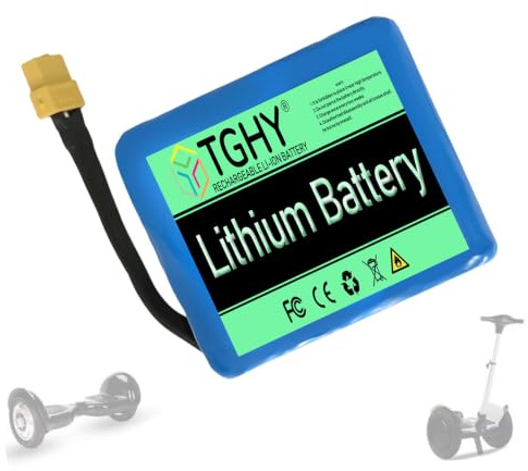 TGHY Batteria al Litio per Monopattino Elettrico 24V 2Ah 4Ah 4.4Ah Batteria bilanciata per Veicolo 29.4V Batterie di Ricambio Scheda BMS Integrata,24v 2ah
