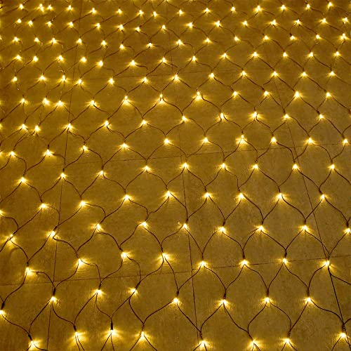 Froadp LED Lichternetz 3x2m Lichterkette IP44 Wasserdicht Lichterketten Vorhang mit Stecker Weihnachtsdeko 250 LEDs Fairy Lights mit 8 Leuchtmodi für Innen Außen Garten Hochzeit Party (Warmweiß)