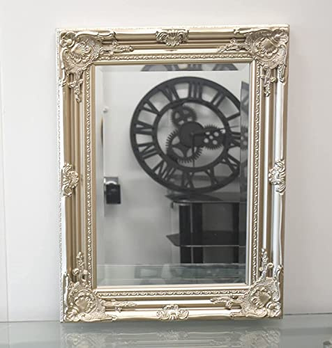 Biznest Vintage champagne Ornate Leaner Wall Hanging Mirror Deep Frame, Bedroom Décor Wooden Flowery Design 45X60Cm
