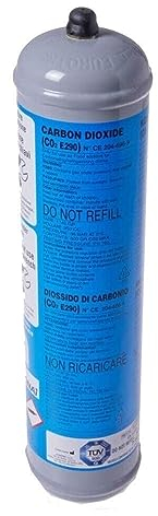 Bombola Co2 600 gr non ricaricabile attacco M11x1 per erogatori acqua frizzante Contenitore in acciaio