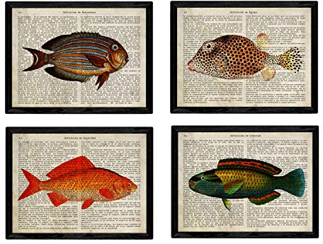 Nacnic Satz von 4 Vintage Enzyklopädie Postern mit Fische in verschiedenen Farben. Illustrationen von Meerestieren im Retrostil. A4 ohne Rahmen.