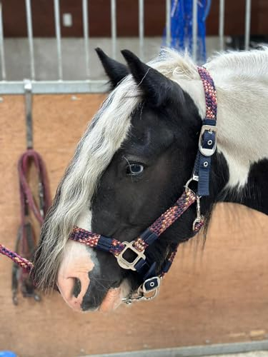 Equipride Geflochtenes Halfter Führstrick Set Größe Full-Shetland Flame (Cob)