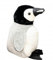 Gustaw Teddybär Groß XXL Pinguin - Plüschbär, Kuschelbär XXL Plüschtier, Spielgefährte und Deko in einem - Stofftier, Plüschtier Kuscheltier Teddy Bear (schwarz und weiß, 60cm)